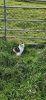 PICTURES/Everything That Did Not Fit Anywhere Else/t_20250924_131610.jpg